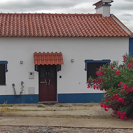 Torrão Nova Quinta Moderna Torramo Em Oliveiras, Campo De Laranjas, Na Nacional 2, Alentejo 13750 M2ヴィラ エクステリア 写真