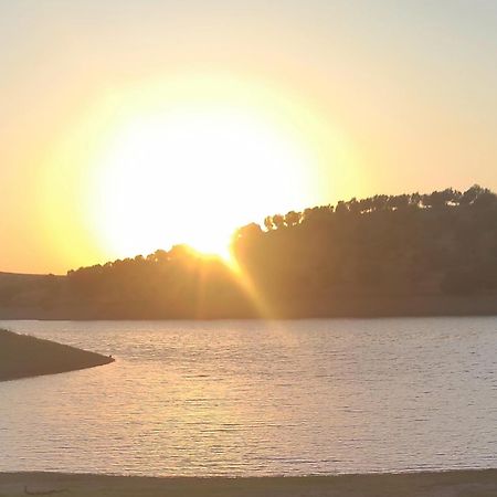 Torrão Nova Quinta Moderna Torramo Em Oliveiras, Campo De Laranjas, Na Nacional 2, Alentejo 13750 M2ヴィラ エクステリア 写真