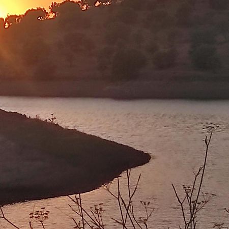 Torrão Nova Quinta Moderna Torramo Em Oliveiras, Campo De Laranjas, Na Nacional 2, Alentejo 13750 M2ヴィラ エクステリア 写真