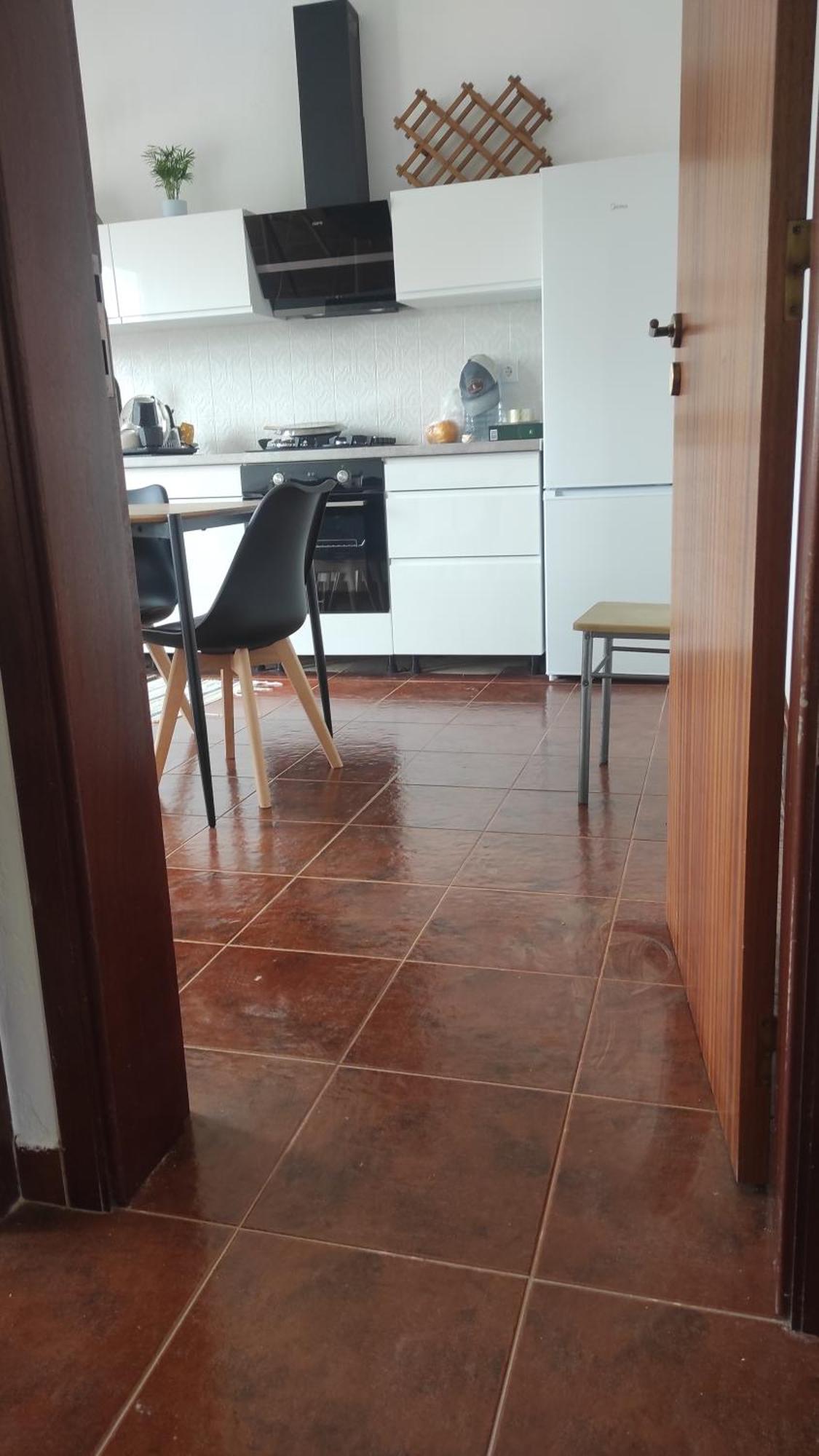 Torrão Nova Quinta Moderna Torramo Em Oliveiras, Campo De Laranjas, Na Nacional 2, Alentejo 13750 M2ヴィラ エクステリア 写真