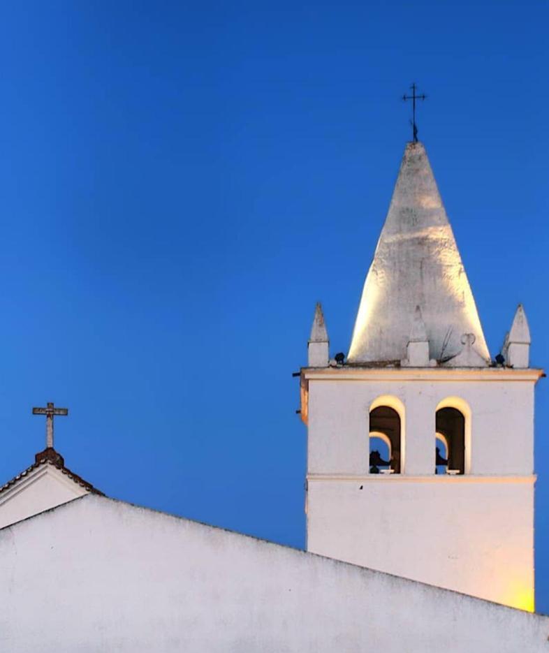 Torrão Nova Quinta Moderna Torramo Em Oliveiras, Campo De Laranjas, Na Nacional 2, Alentejo 13750 M2ヴィラ エクステリア 写真
