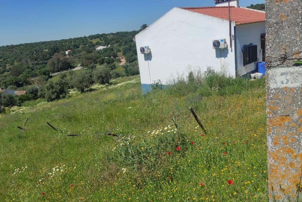 Torrão Nova Quinta Moderna Torramo Em Oliveiras, Campo De Laranjas, Na Nacional 2, Alentejo 13750 M2ヴィラ エクステリア 写真