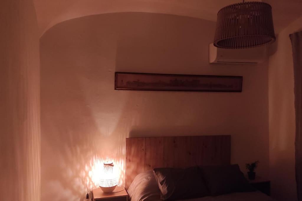 Torrão Nova Quinta Moderna Torramo Em Oliveiras, Campo De Laranjas, Na Nacional 2, Alentejo 13750 M2ヴィラ エクステリア 写真