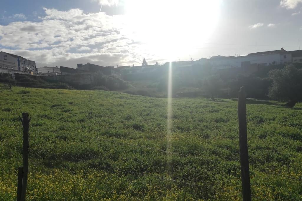 Torrão Nova Quinta Moderna Torramo Em Oliveiras, Campo De Laranjas, Na Nacional 2, Alentejo 13750 M2ヴィラ エクステリア 写真