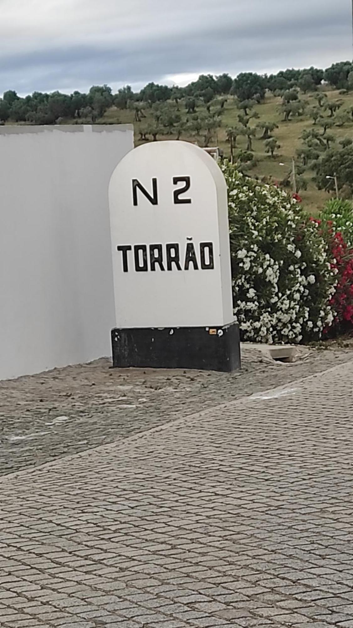 Torrão Nova Quinta Moderna Torramo Em Oliveiras, Campo De Laranjas, Na Nacional 2, Alentejo 13750 M2ヴィラ エクステリア 写真