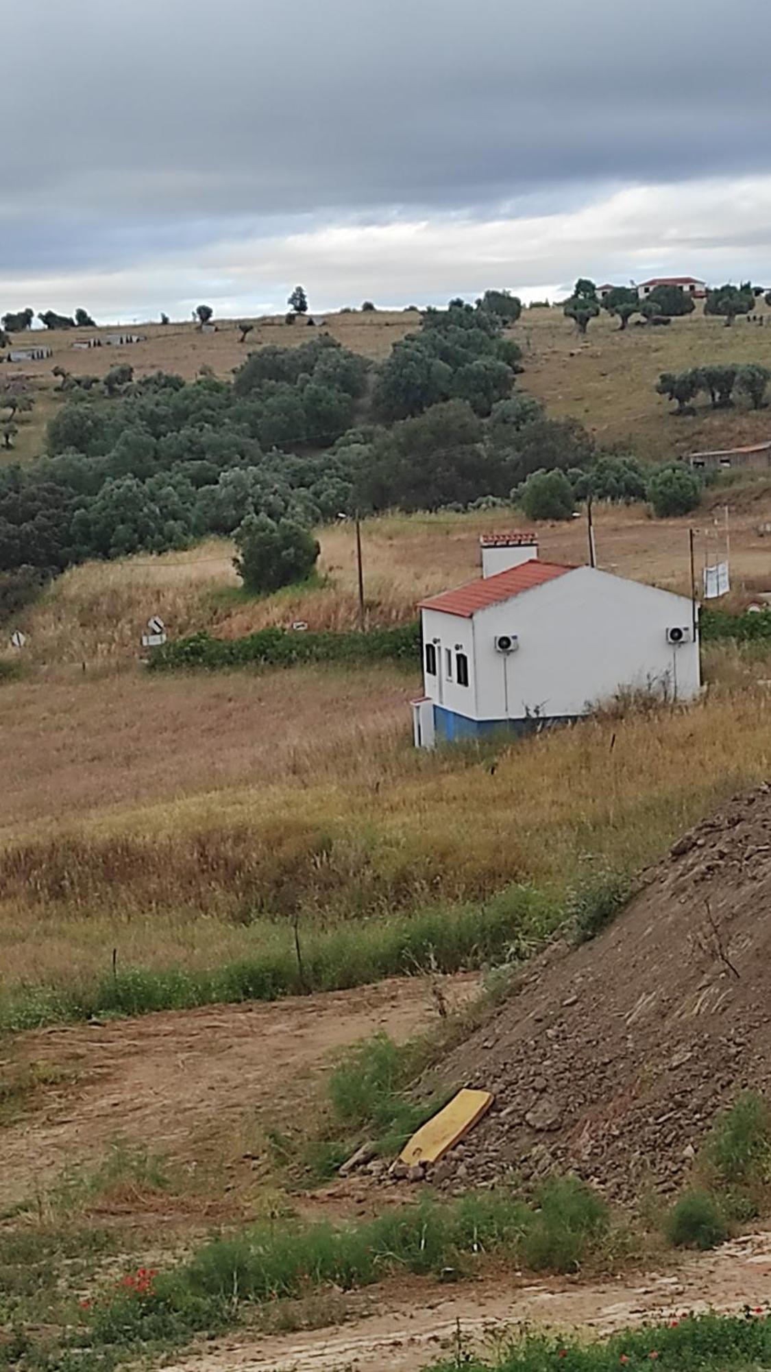 Torrão Nova Quinta Moderna Torramo Em Oliveiras, Campo De Laranjas, Na Nacional 2, Alentejo 13750 M2ヴィラ エクステリア 写真