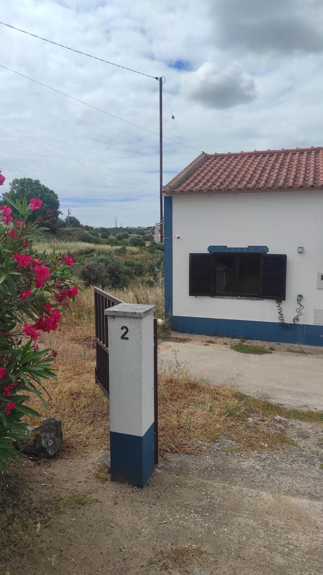 Torrão Nova Quinta Moderna Torramo Em Oliveiras, Campo De Laranjas, Na Nacional 2, Alentejo 13750 M2ヴィラ エクステリア 写真