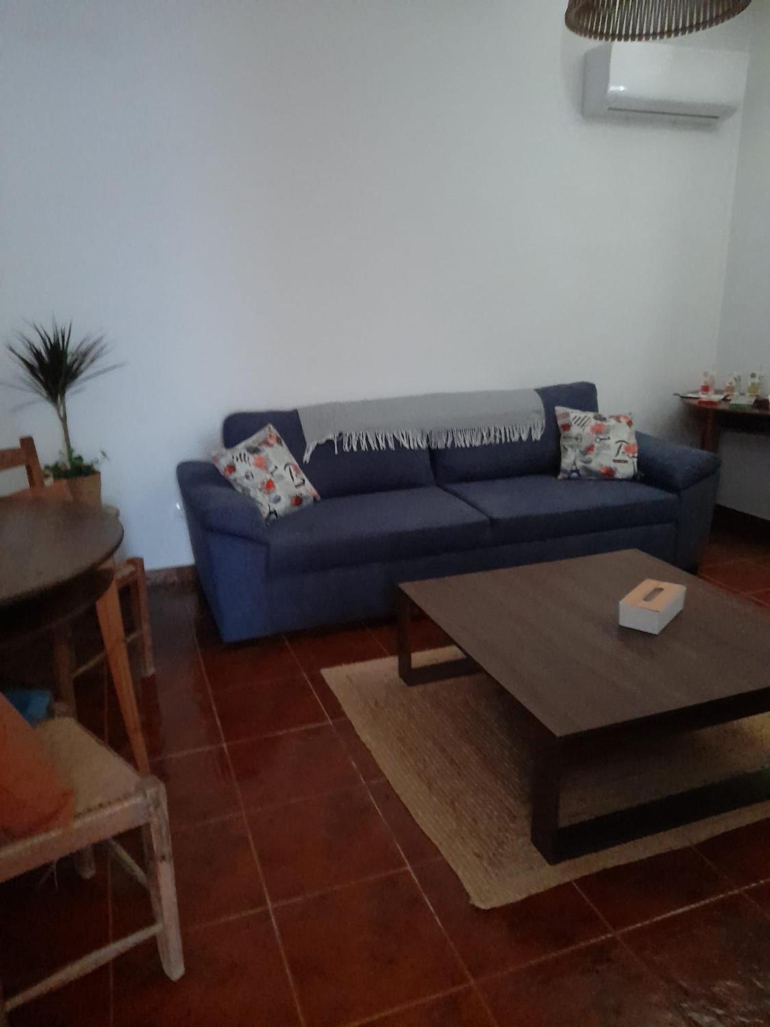 Torrão Nova Quinta Moderna Torramo Em Oliveiras, Campo De Laranjas, Na Nacional 2, Alentejo 13750 M2ヴィラ エクステリア 写真