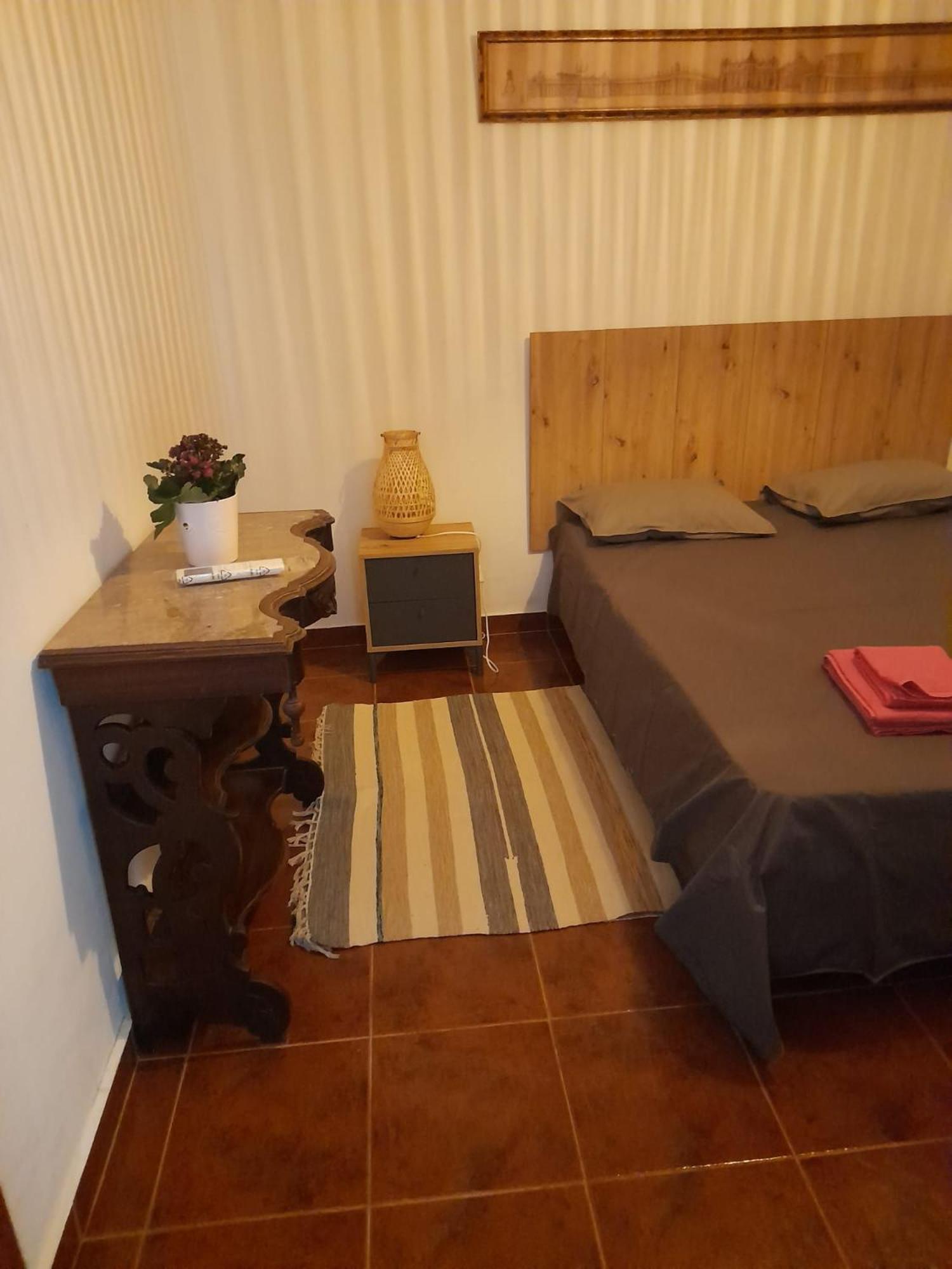 Torrão Nova Quinta Moderna Torramo Em Oliveiras, Campo De Laranjas, Na Nacional 2, Alentejo 13750 M2ヴィラ エクステリア 写真