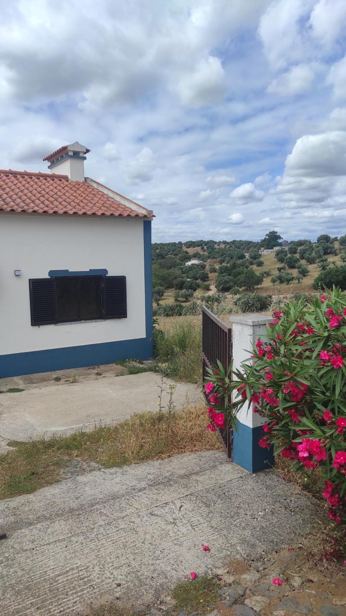 Torrão Nova Quinta Moderna Torramo Em Oliveiras, Campo De Laranjas, Na Nacional 2, Alentejo 13750 M2ヴィラ エクステリア 写真