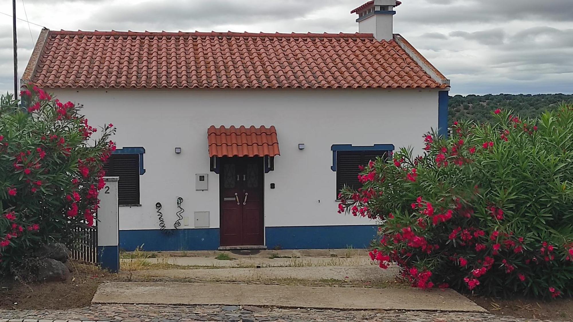Torrão Nova Quinta Moderna Torramo Em Oliveiras, Campo De Laranjas, Na Nacional 2, Alentejo 13750 M2ヴィラ エクステリア 写真