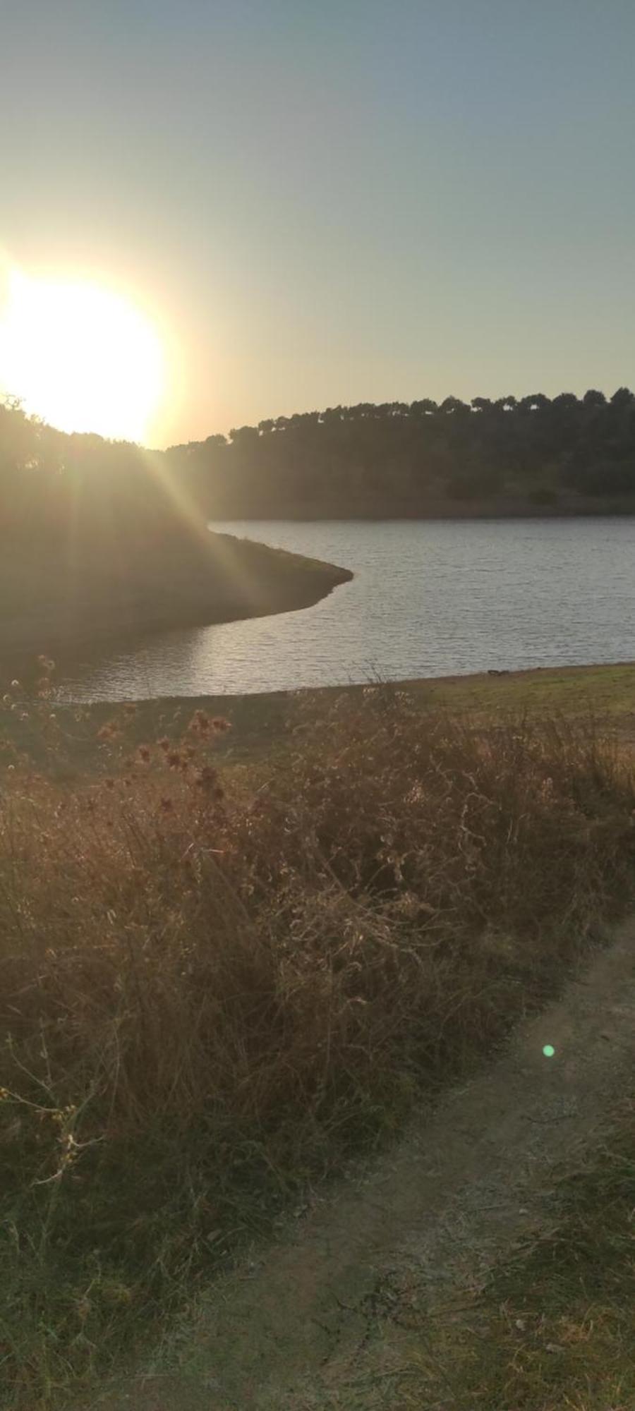 Torrão Nova Quinta Moderna Torramo Em Oliveiras, Campo De Laranjas, Na Nacional 2, Alentejo 13750 M2ヴィラ エクステリア 写真