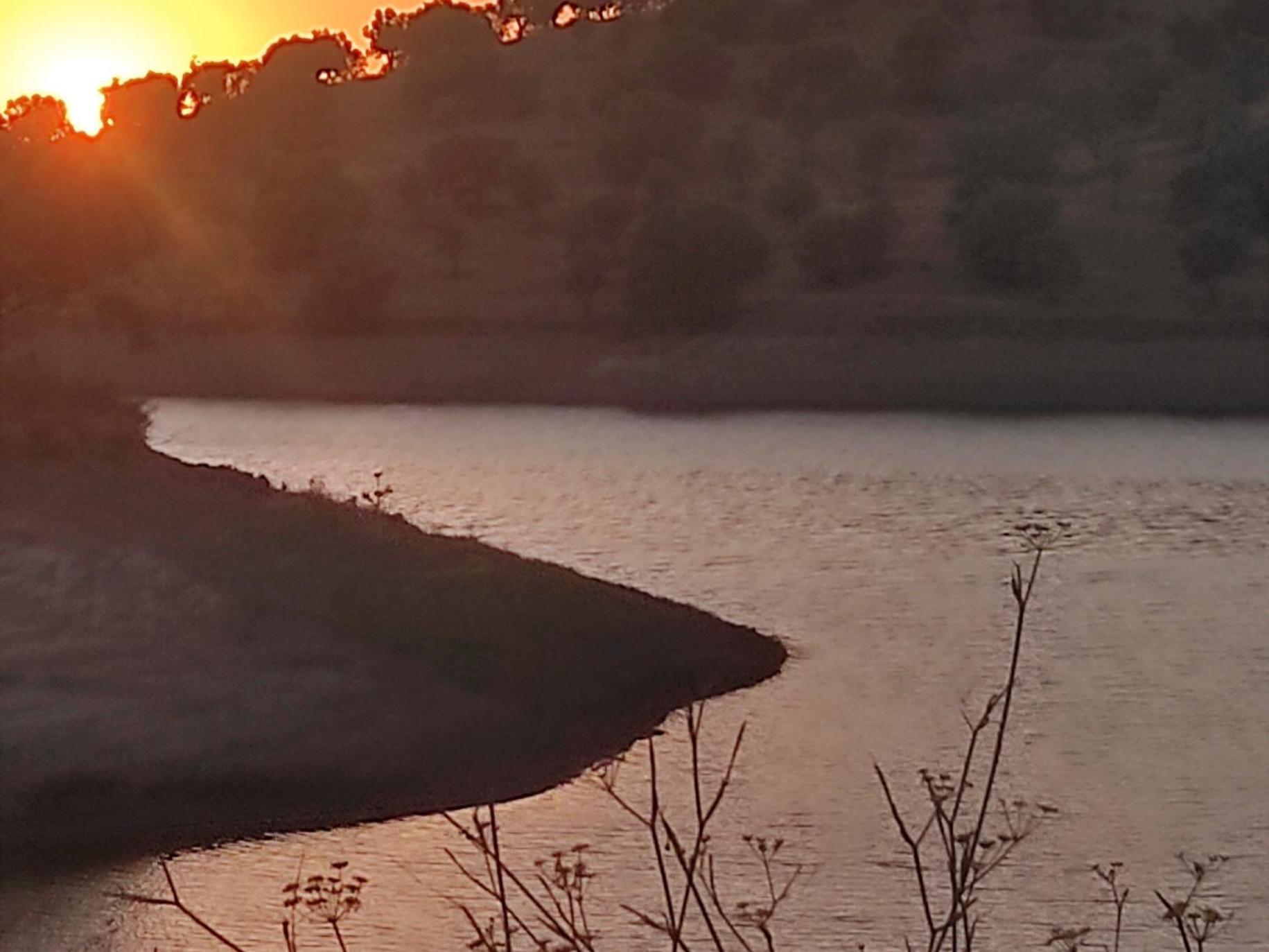 Torrão Nova Quinta Moderna Torramo Em Oliveiras, Campo De Laranjas, Na Nacional 2, Alentejo 13750 M2ヴィラ エクステリア 写真