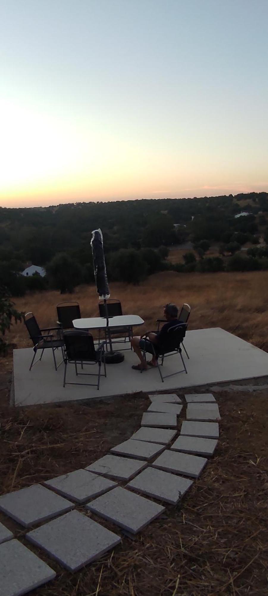 Torrão Nova Quinta Moderna Torramo Em Oliveiras, Campo De Laranjas, Na Nacional 2, Alentejo 13750 M2ヴィラ エクステリア 写真