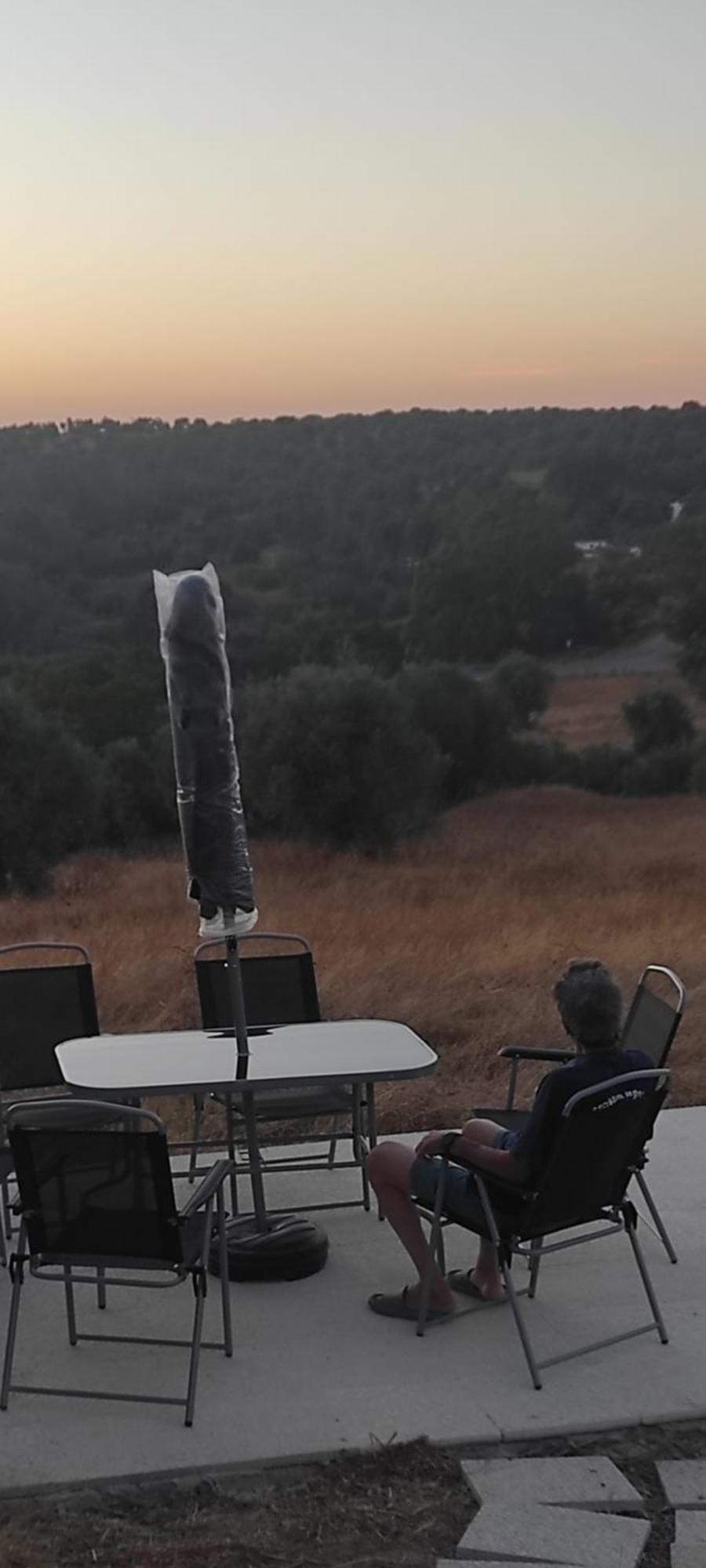 Torrão Nova Quinta Moderna Torramo Em Oliveiras, Campo De Laranjas, Na Nacional 2, Alentejo 13750 M2ヴィラ エクステリア 写真