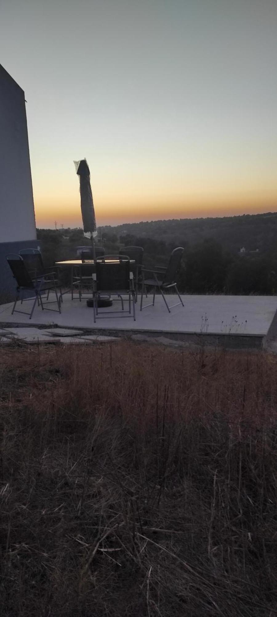 Torrão Nova Quinta Moderna Torramo Em Oliveiras, Campo De Laranjas, Na Nacional 2, Alentejo 13750 M2ヴィラ エクステリア 写真